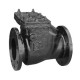 CI NRV Non Return Valve/Reflux Valve Flange End ISI Marked (Hammer)